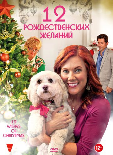 12 Рождественских желаний / 12 Wishes of Christmas (2011)