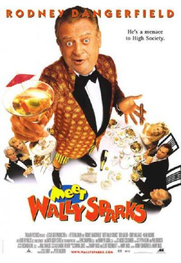 Познакомьтесь с Уолли Спарксом / Meet Wally Sparks (1996)