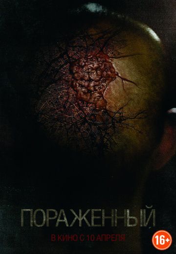 Пораженный / Afflicted (2013)