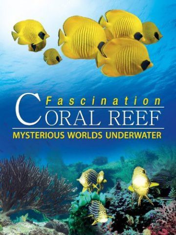 Коралловый риф: Удивительные подводные миры / Fascination Coral Reef: Mysterious Worlds Underwater (2012)